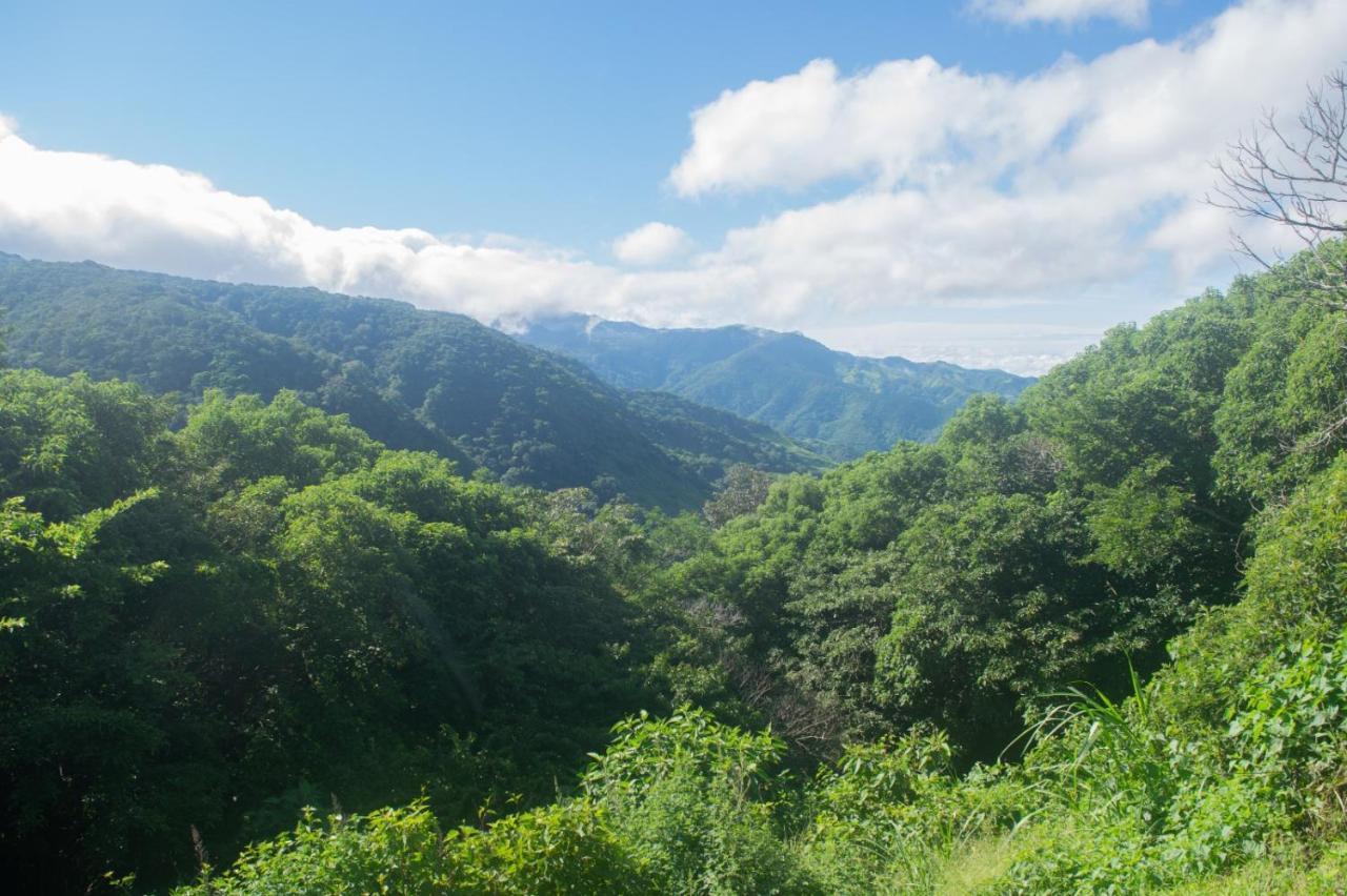 La Casa Bonita Διαμέρισμα Monteverde Εξωτερικό φωτογραφία