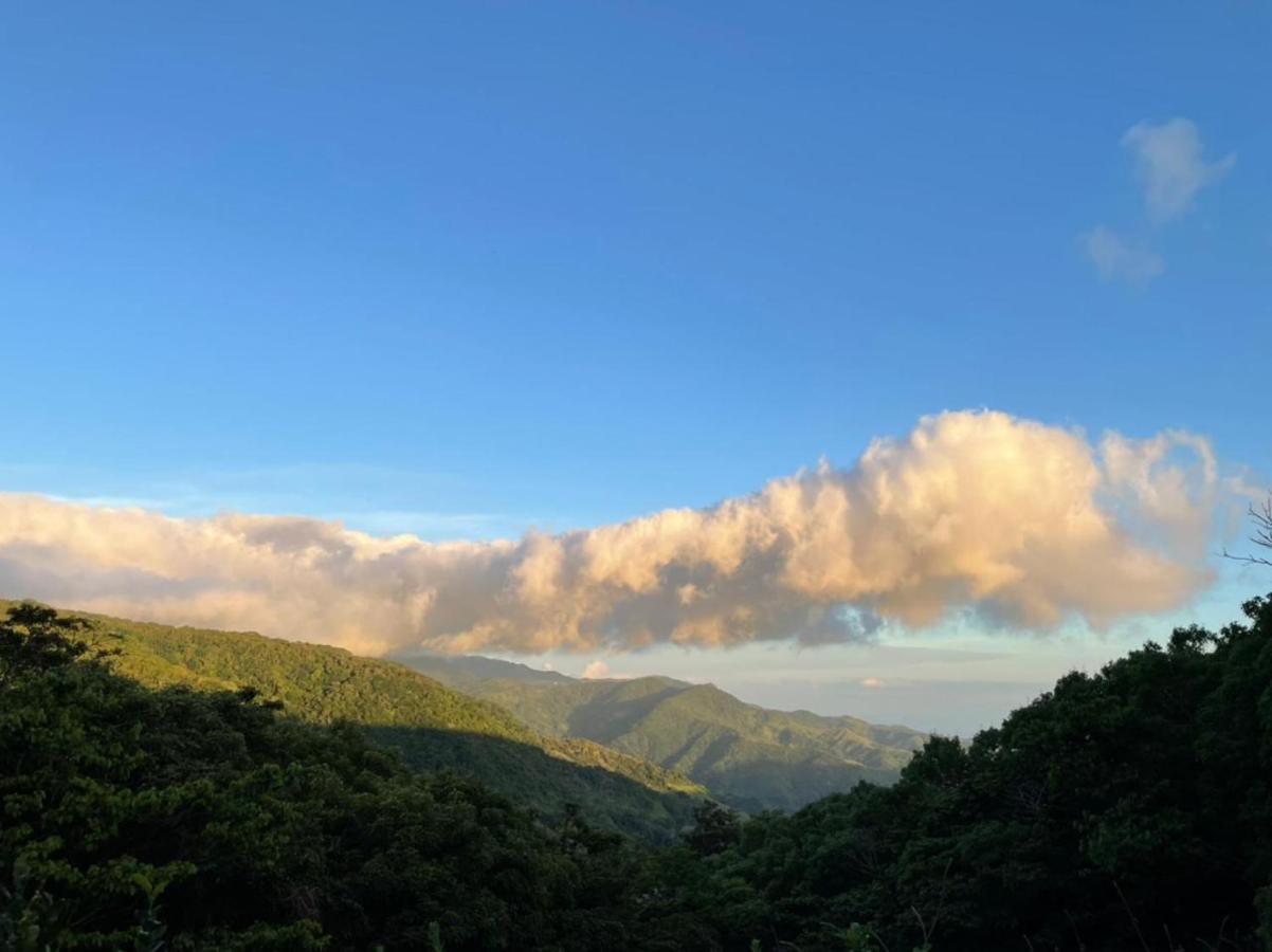 La Casa Bonita Διαμέρισμα Monteverde Εξωτερικό φωτογραφία